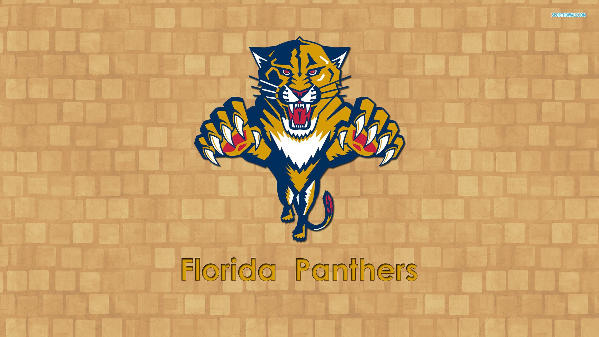 Florida Panthers, 1920x1080 HD Wallpaper and FREE Stock Photo