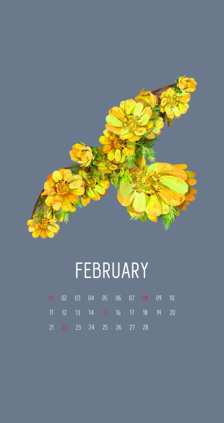 February Calendar Wallpaper. Tap image for more February calendar ...