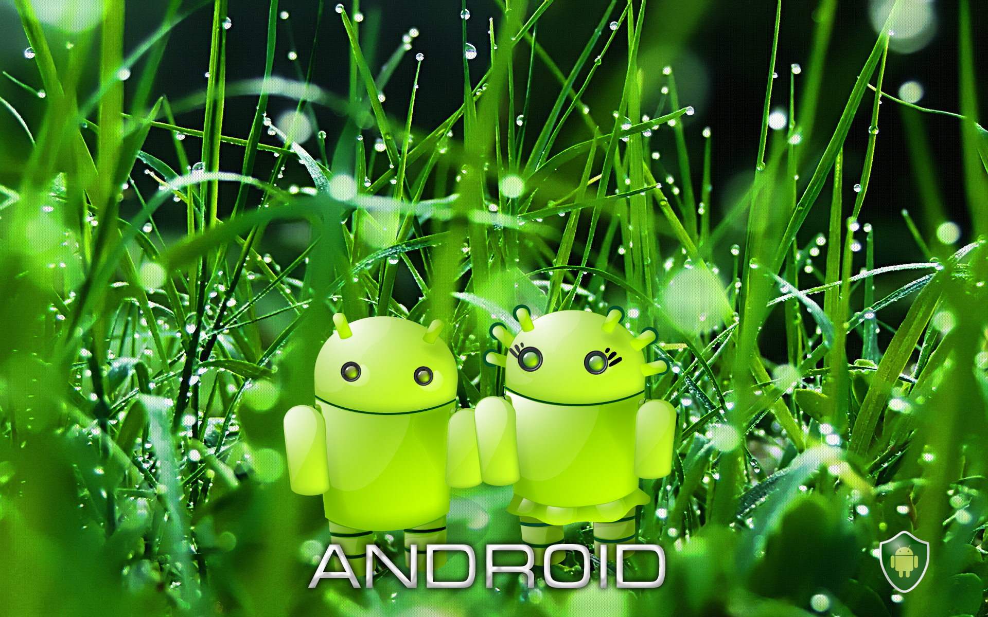 Android Nature Concept wallpapers55.com - Best Wallpapers for