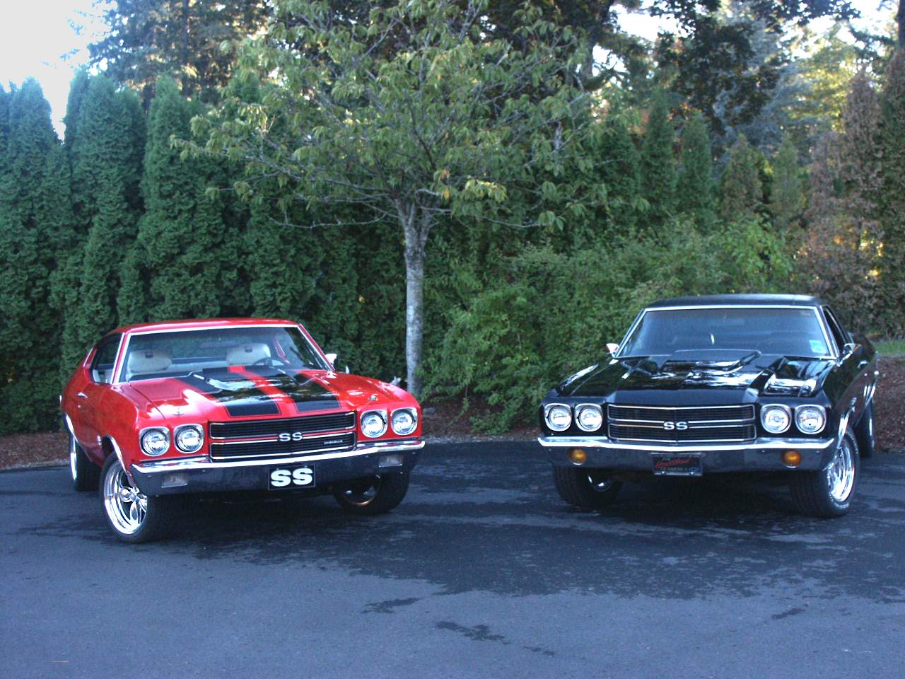 1970 Chevelle & El Camino Photo Backgrounds from Team Chevelle