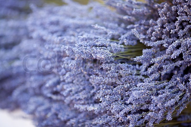 Background of dried lavender flowers at the fair Stock Photo