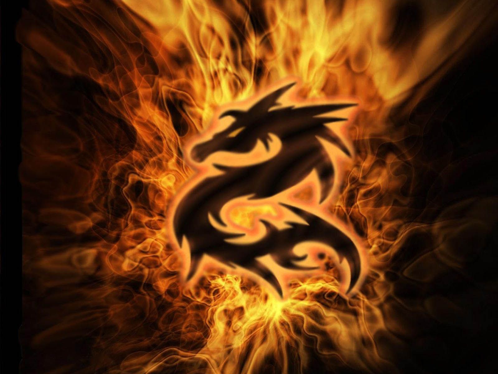 3D Dragon Wallpapers | Full HD Pictures