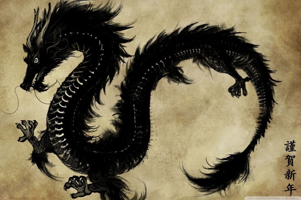 Chinese Black Dragon HD desktop wallpaper : High Definition ...
