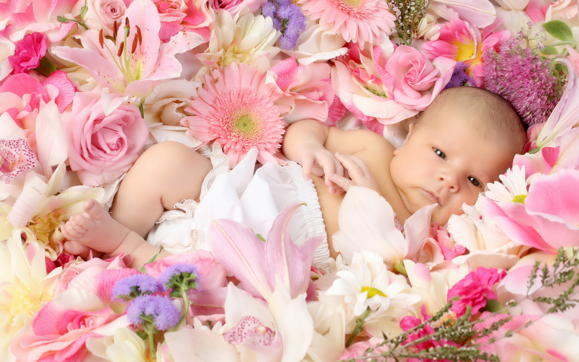 Desktop Child Baby Flowers Hd Desktop Wallpapers - PetPictures