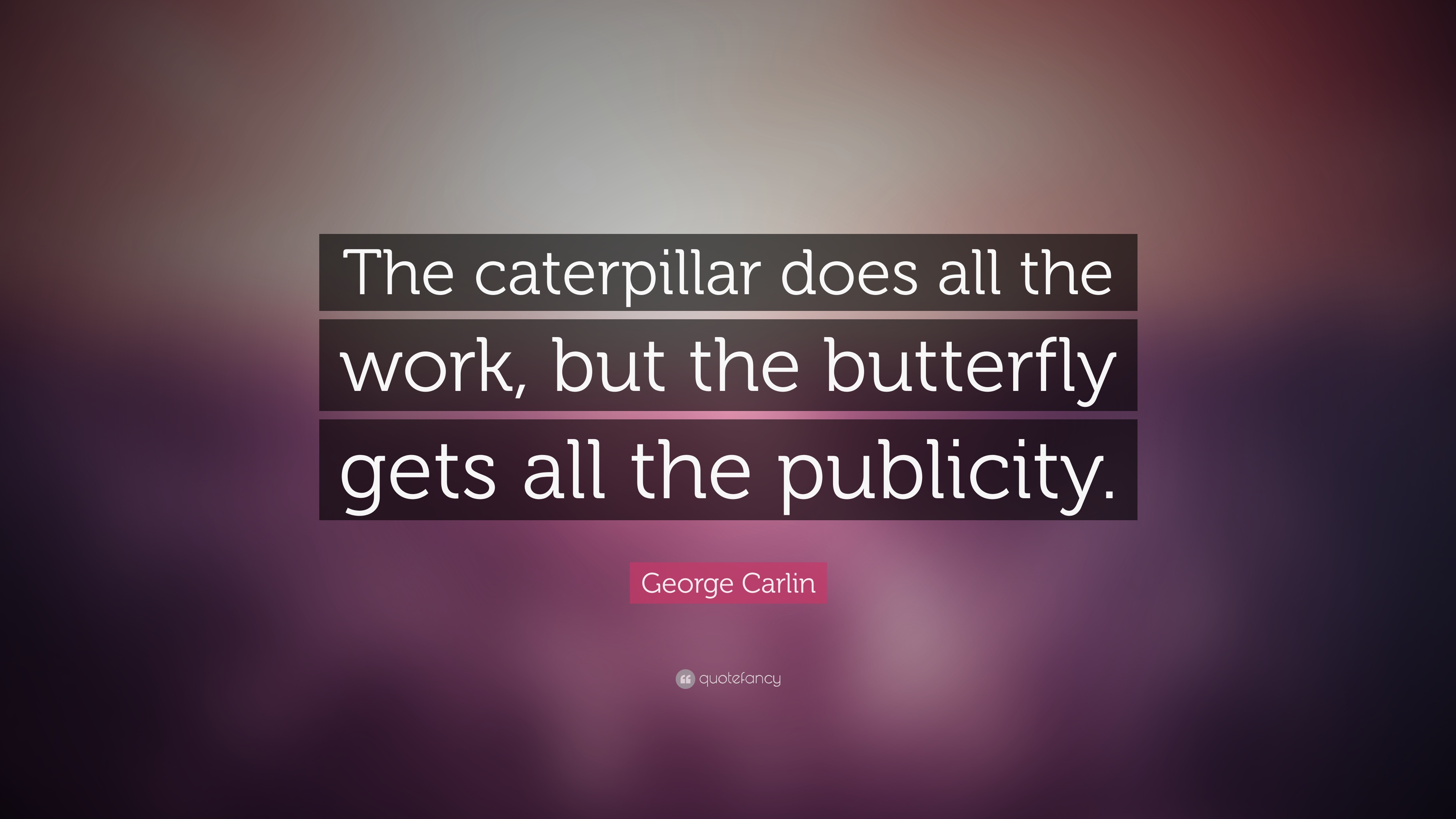 George Carlin Quote: “The caterpillar does all the work, but the ...