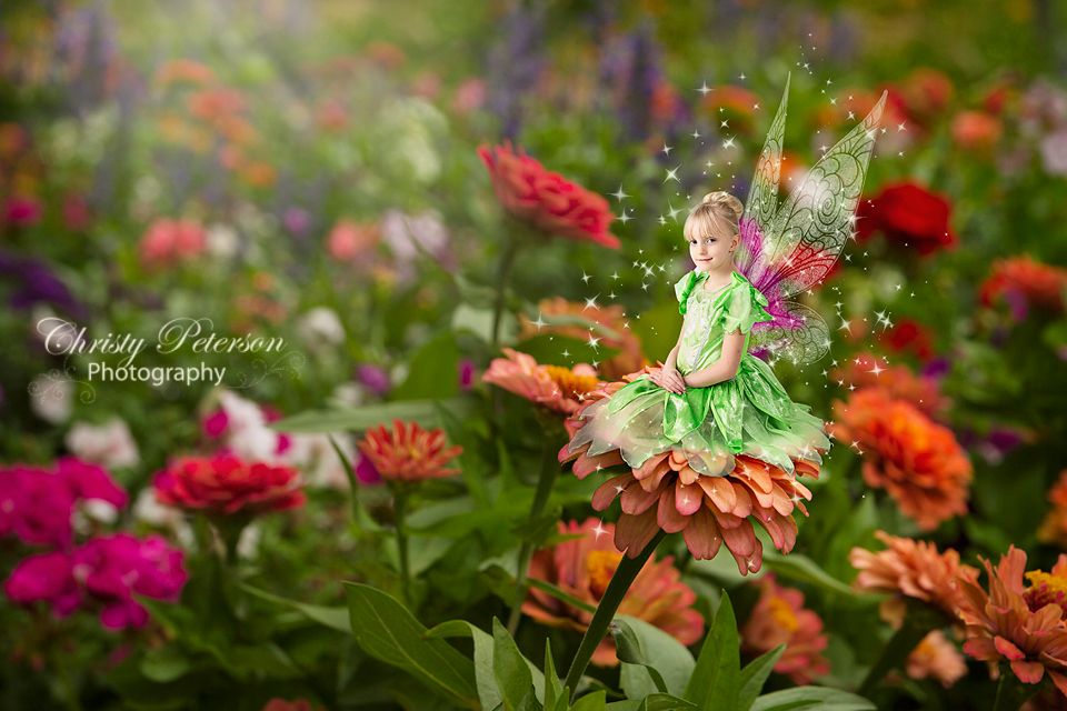 fairy tinker bell digitial background for photographers @ Port ...