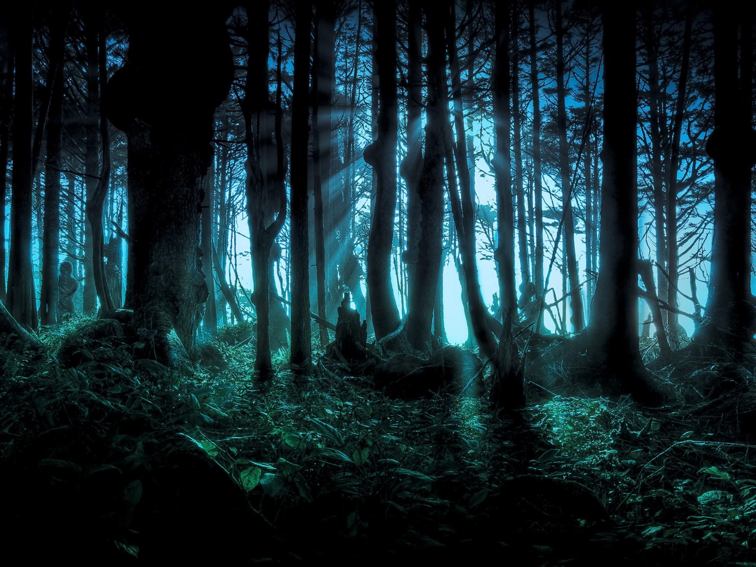Scary Backgrounds wallpaper | 2560x1920 | #66193