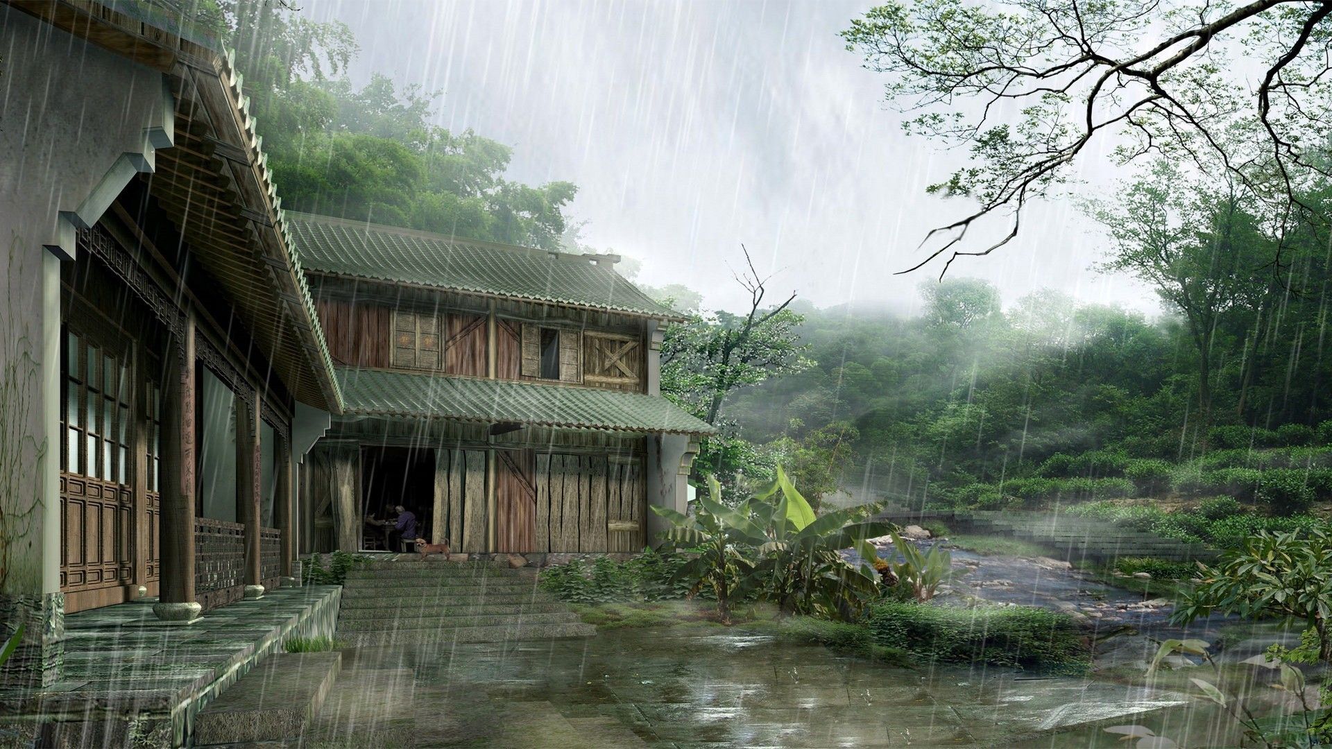 Beautiful Rain at Home | HD Wallpapers