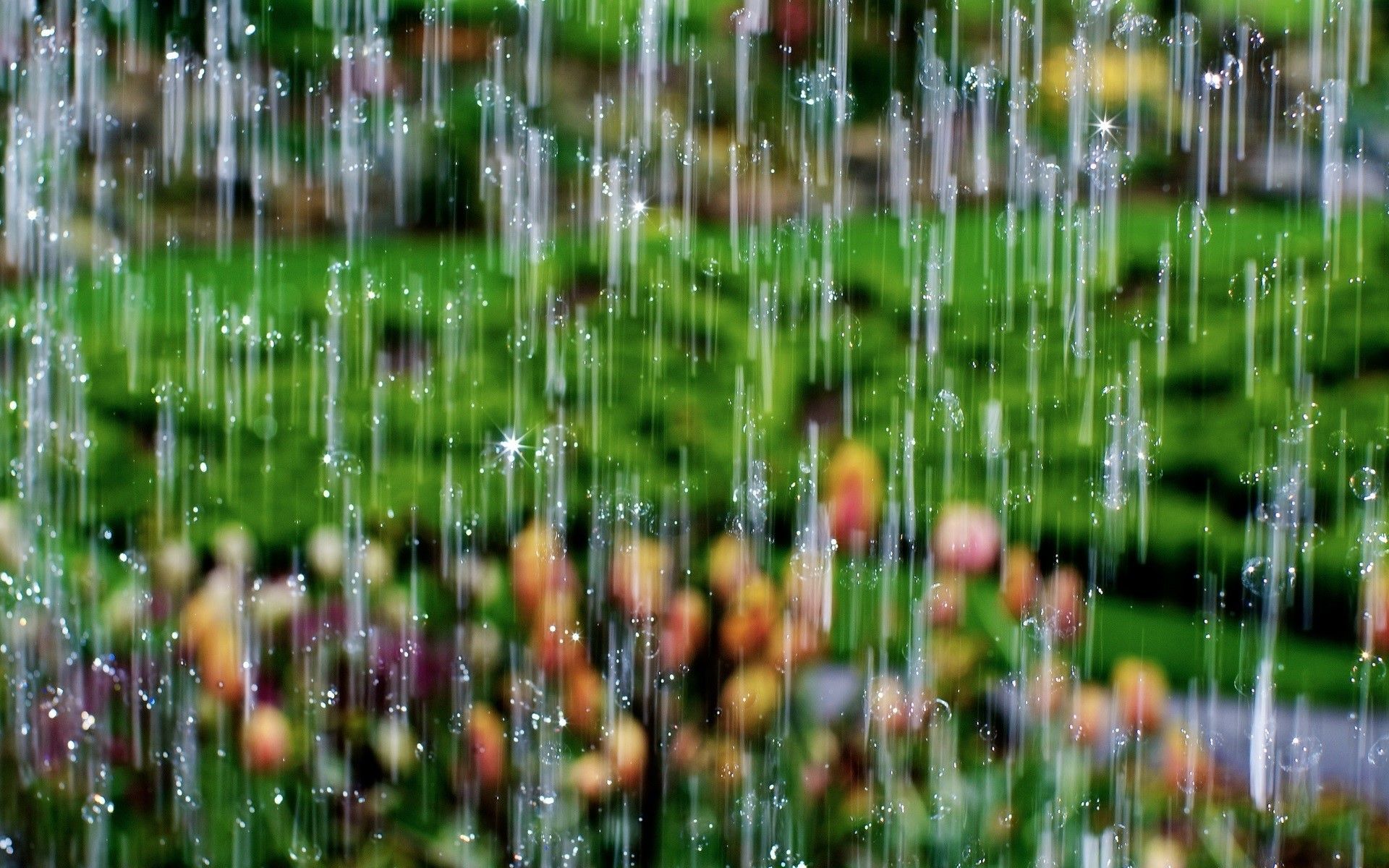 Close Up of Rain Drops Wallpaper | HD Wallpapers