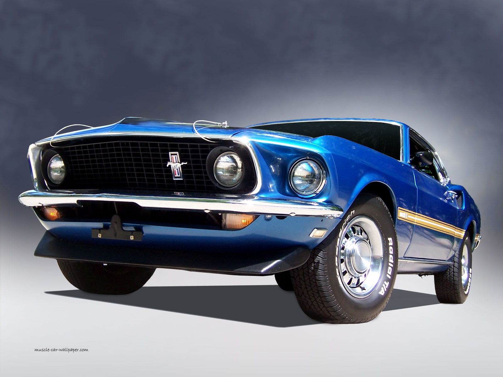 Ford Mustang Mach 1 - image #81