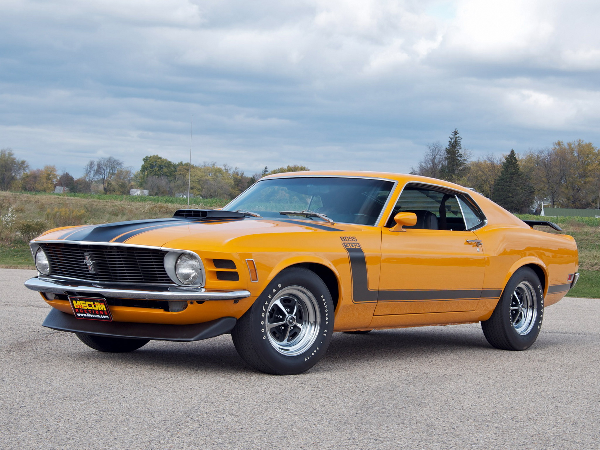 Ford Mustang Boss 302 1970 - image