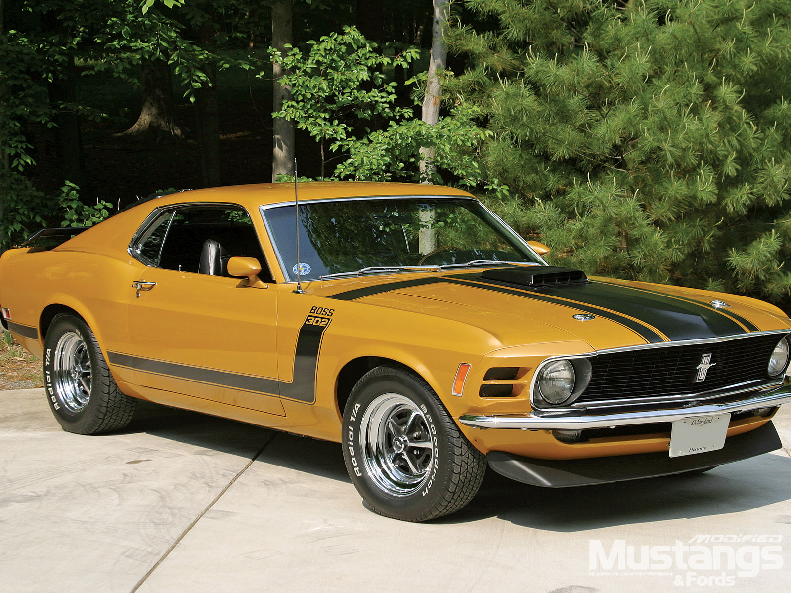 Ford Mustang Boss 429 1970 - image #109