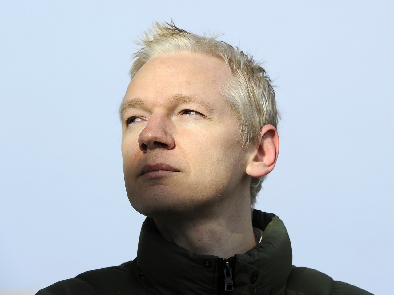 Julian Assange wallpaper 1280x960