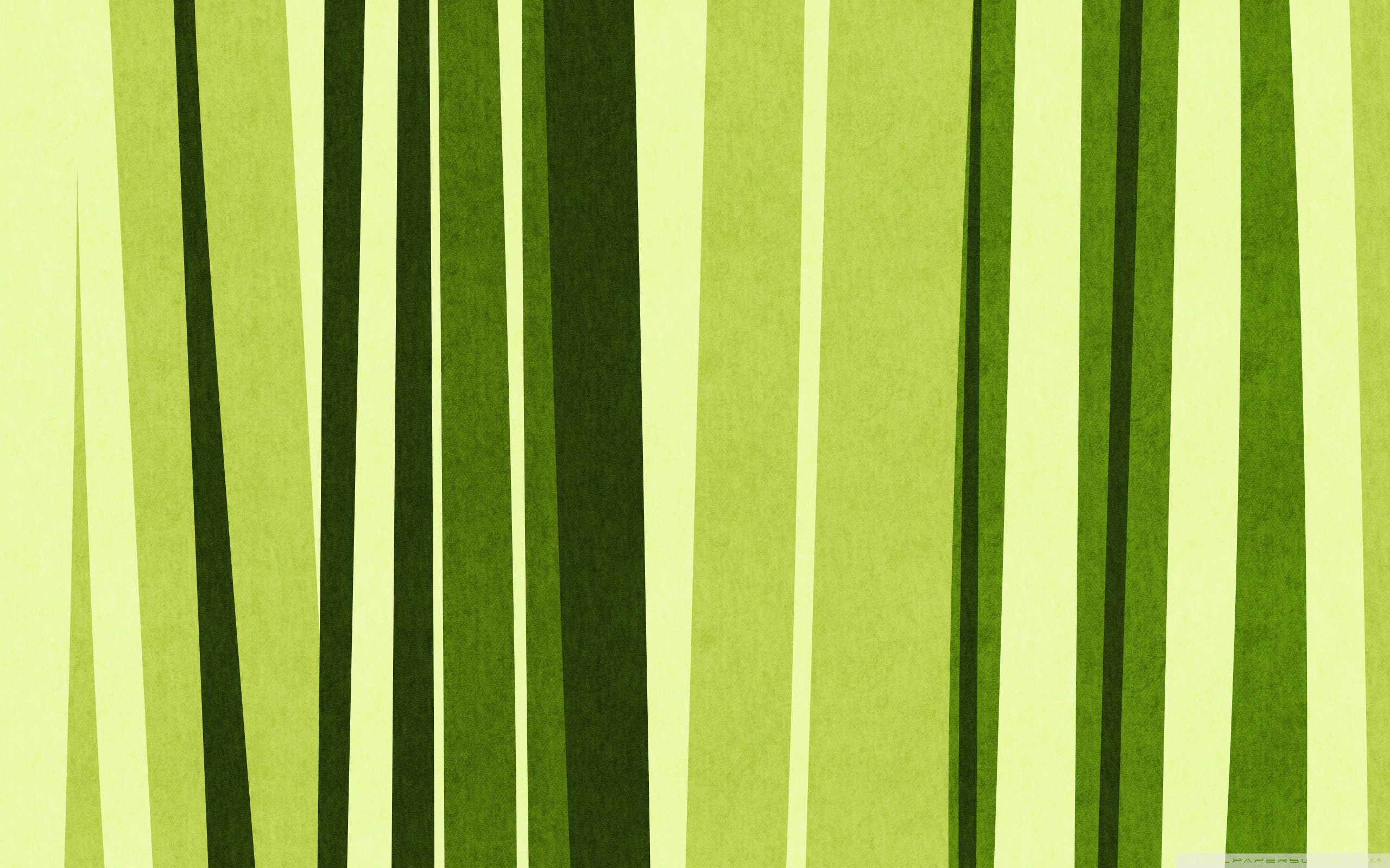 Green Stripes Wallpaper Full HD 2560x1600 - Free wallpaper full