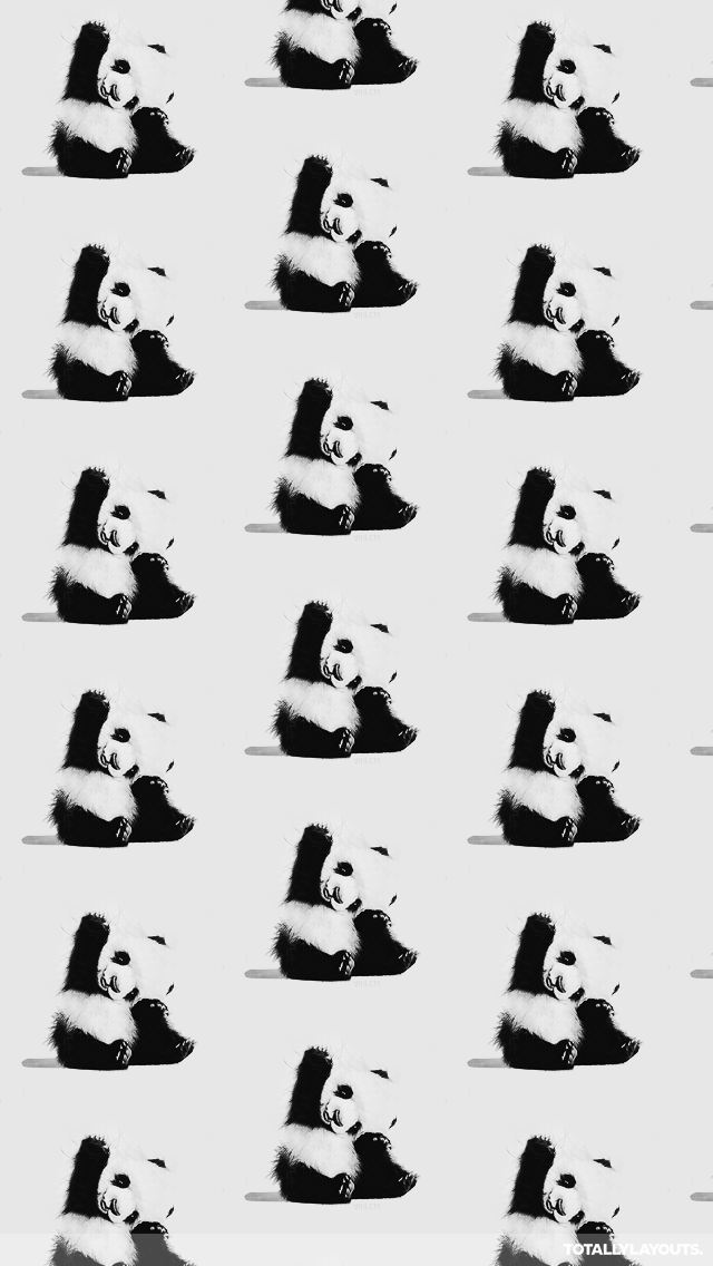 Cute Panda Bears Android Wallpaper - Black & White Backgrounds