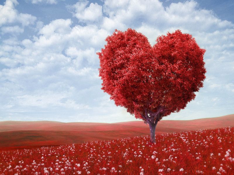 Love | Most HD Wallpapers Pictures Desktop Backgrounds Images ...