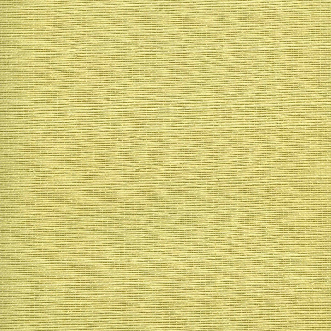 Yellow grasscloth wallpaper 2015 - Grasscloth Wallpaper