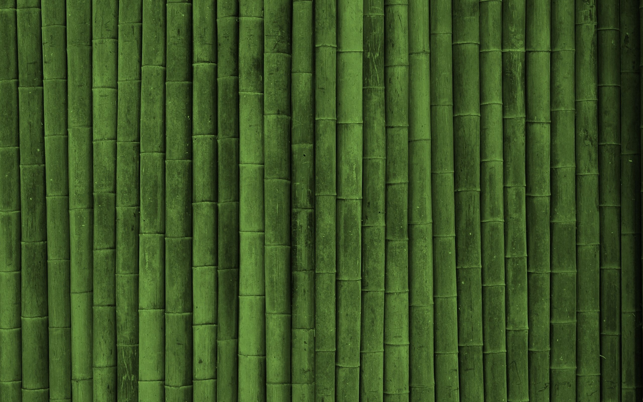 Download Pictures Bamboo Texture Green Style Wallpaper 2560x1600