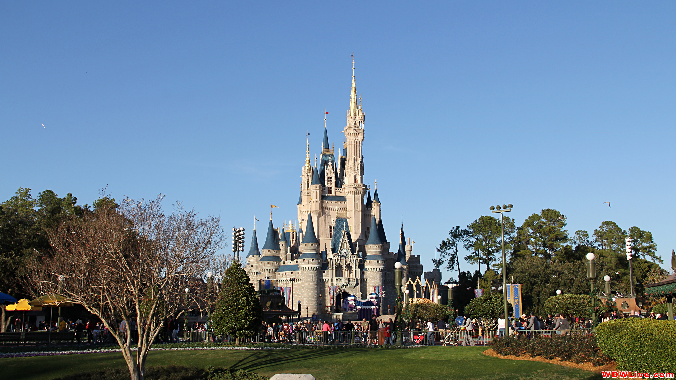 Cinderella Castle: