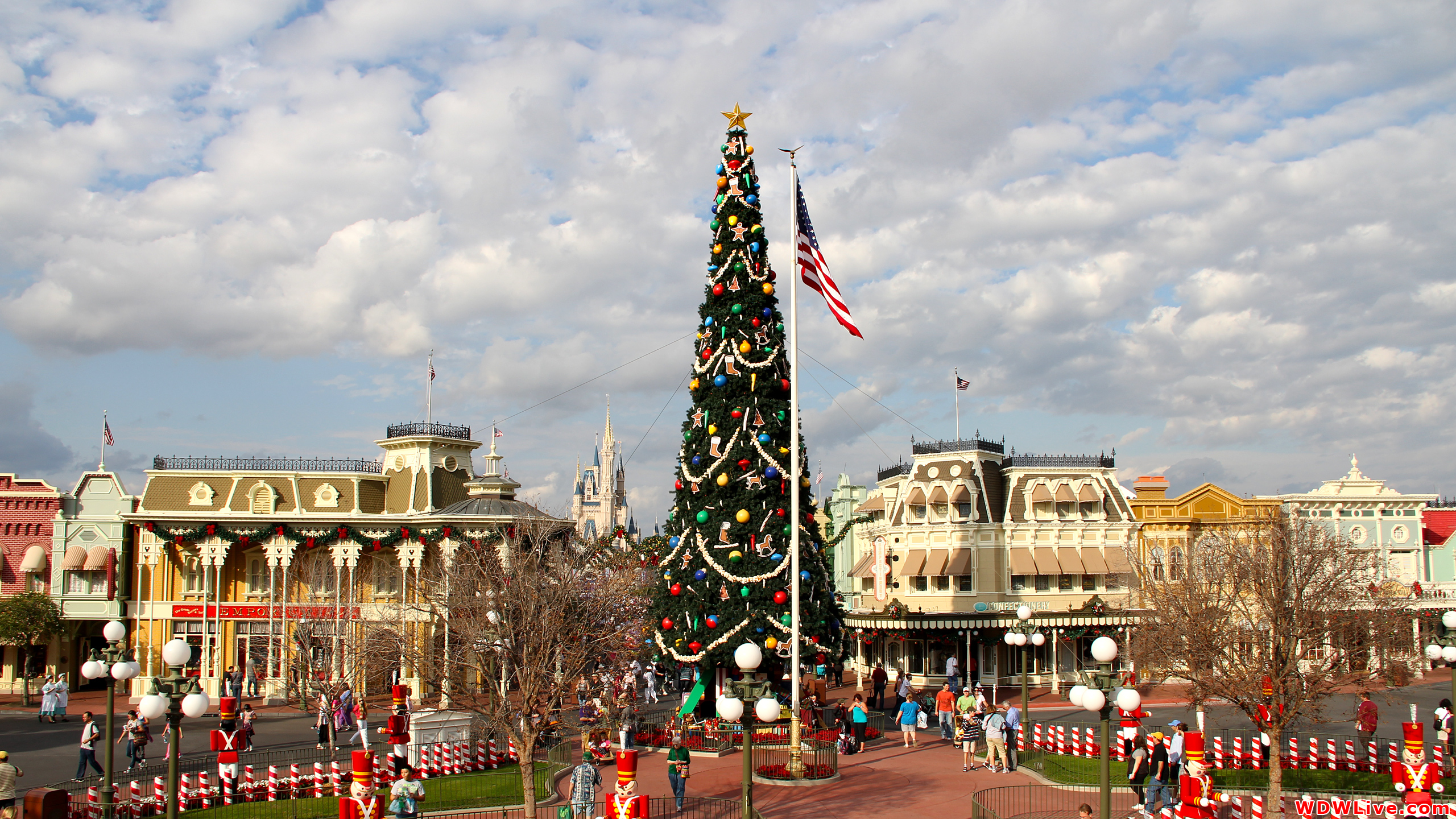 Main Street U.S.A.: The Magic Kingdom's giant Christmas tree!