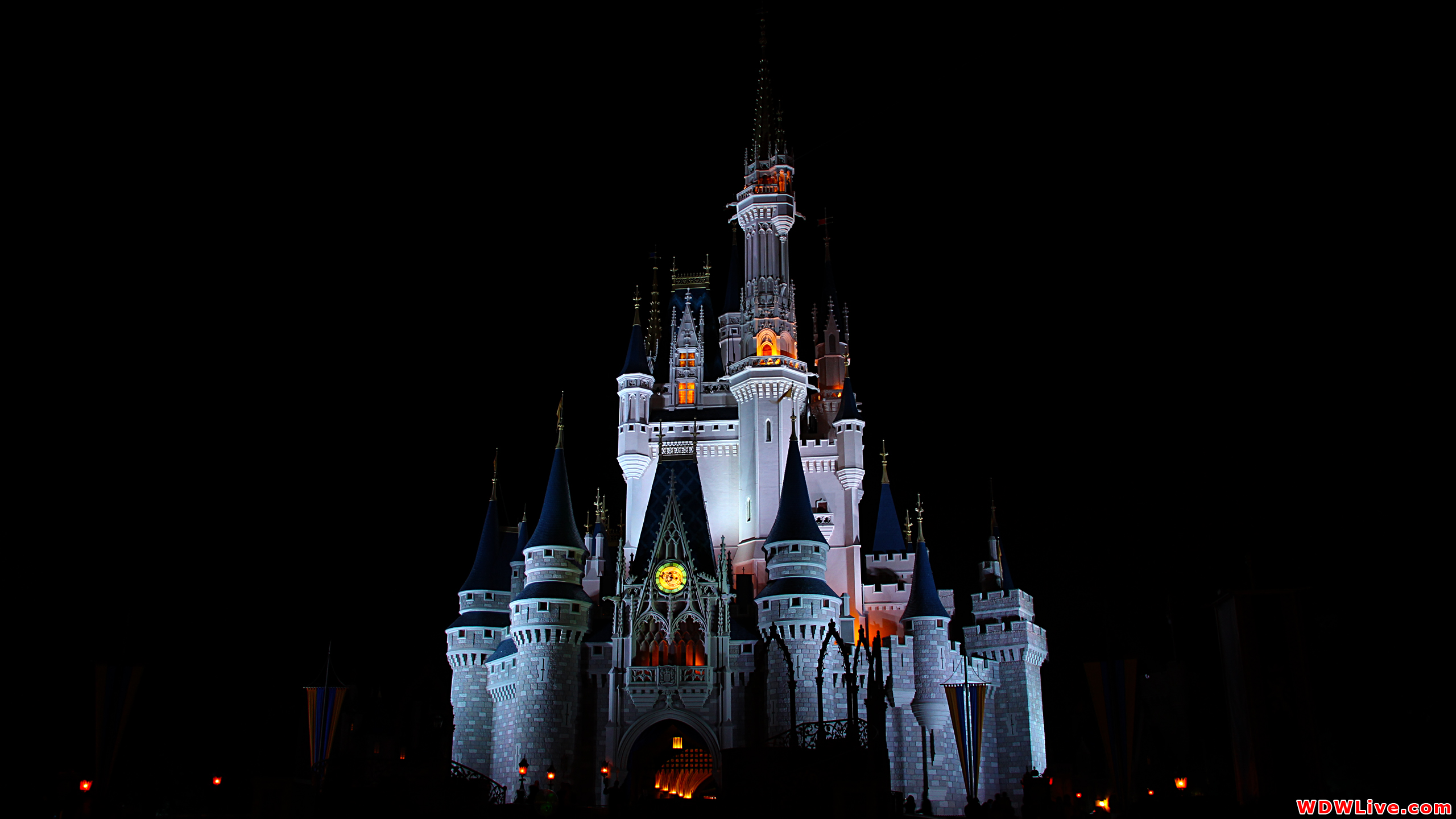 Cinderella Castle: Classic nighttime photo of Cinderella Castle!