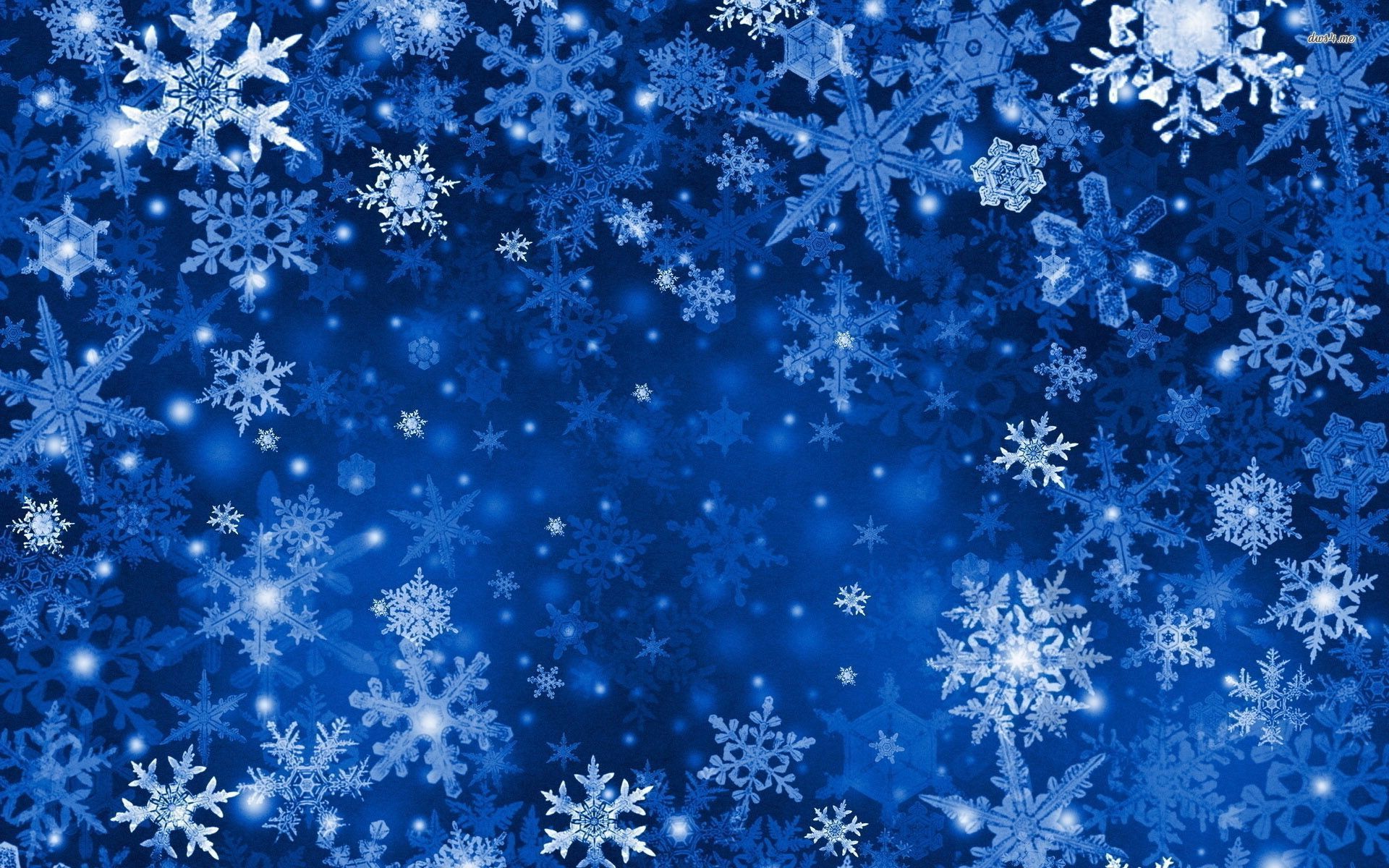 Blue Snowflakes wallpaper - Vector wallpapers -