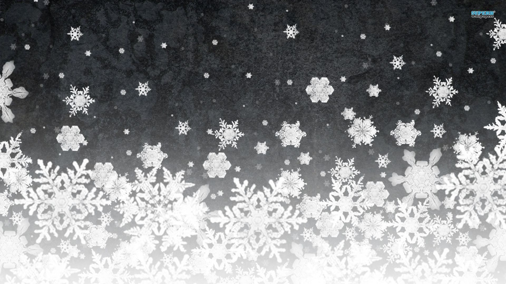 Snowflakes wallpaper - Artistic wallpapers -