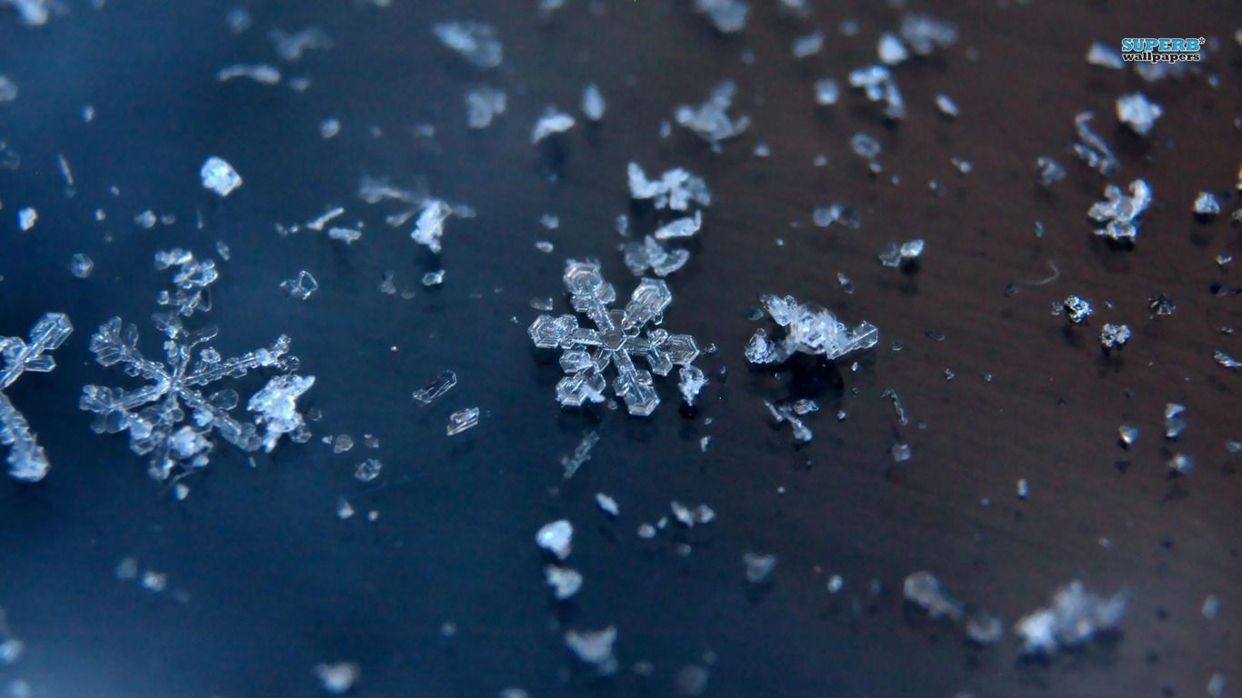 Snowflakes wallpaper - Photography wallpapers -