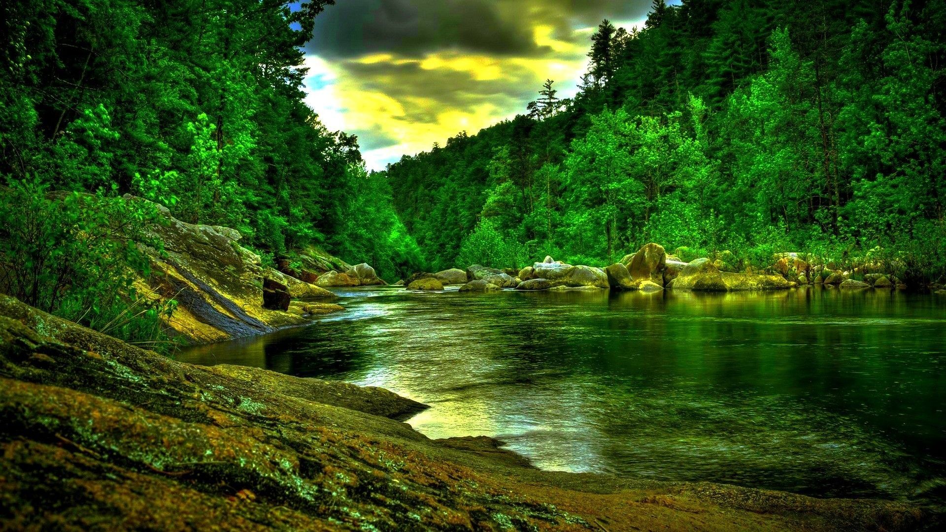 Beautiful Nature Forest iPhone Desktop Wallpapers - Zibrato