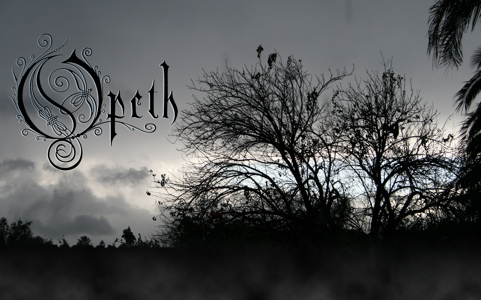 Opeth 30 wallpapers gratis de la banda sueca Fondos de
