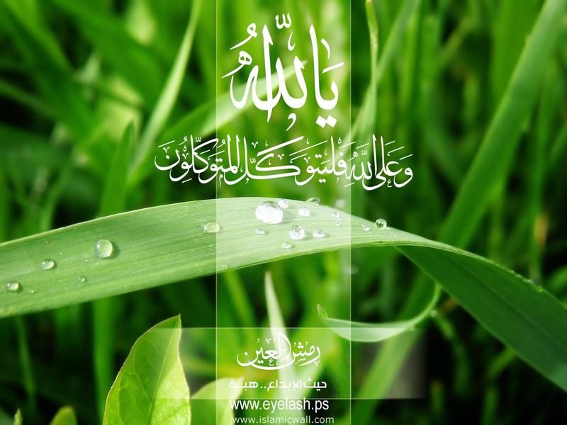 Beautiful Islamic Wallpapers | Islamic Messages | Islamic Pictures ...