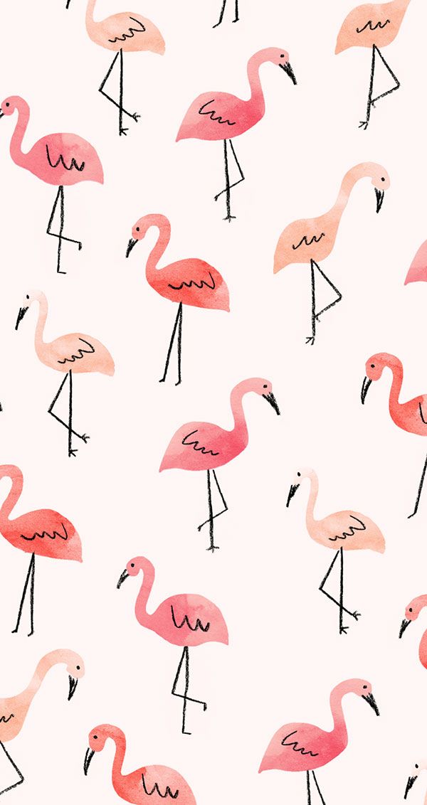 Inspired Idea: New Tech August Wallpapers | Flamingos, Flamingo ...