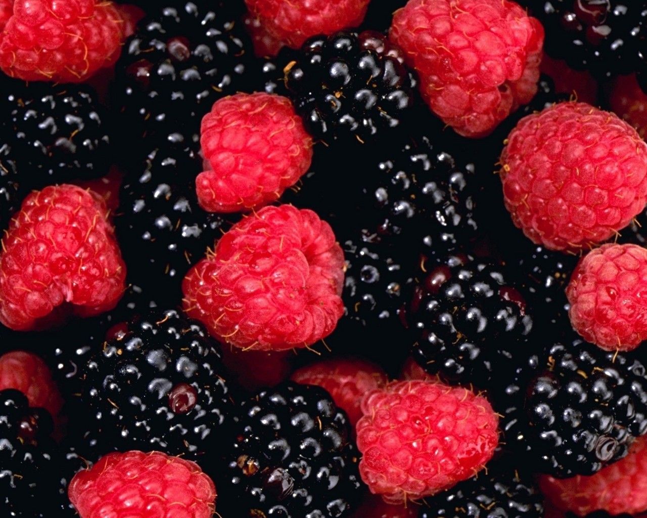 blackberry fruit wallpaper 3 HD Wallpaper | Fruits Wallpapers