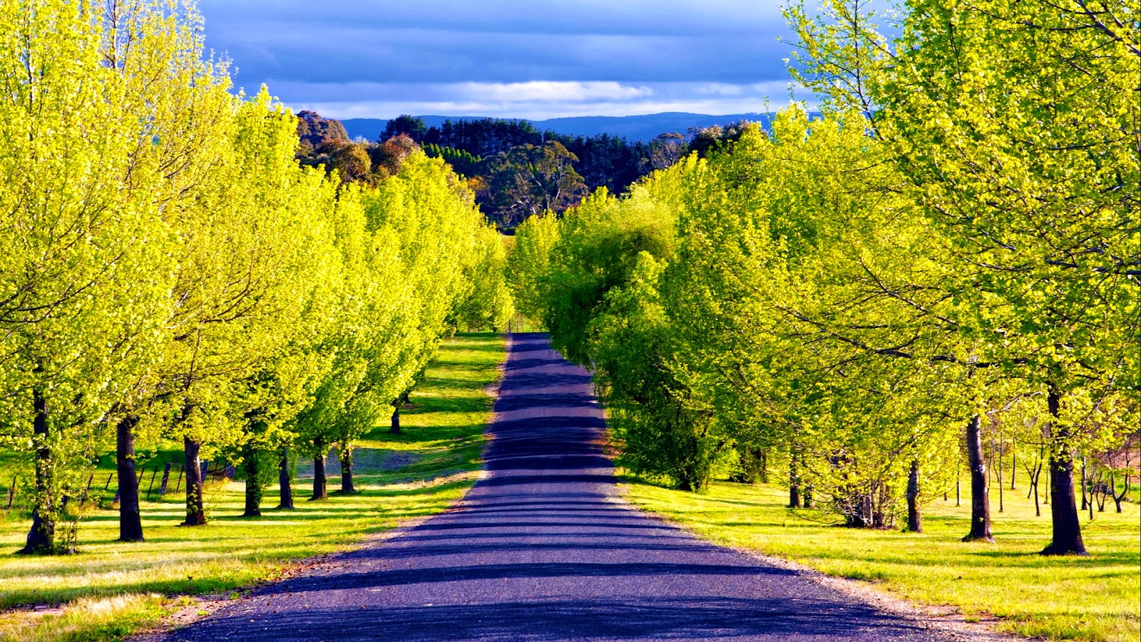 Pathway wallpapers most beautiful places in the world download ...