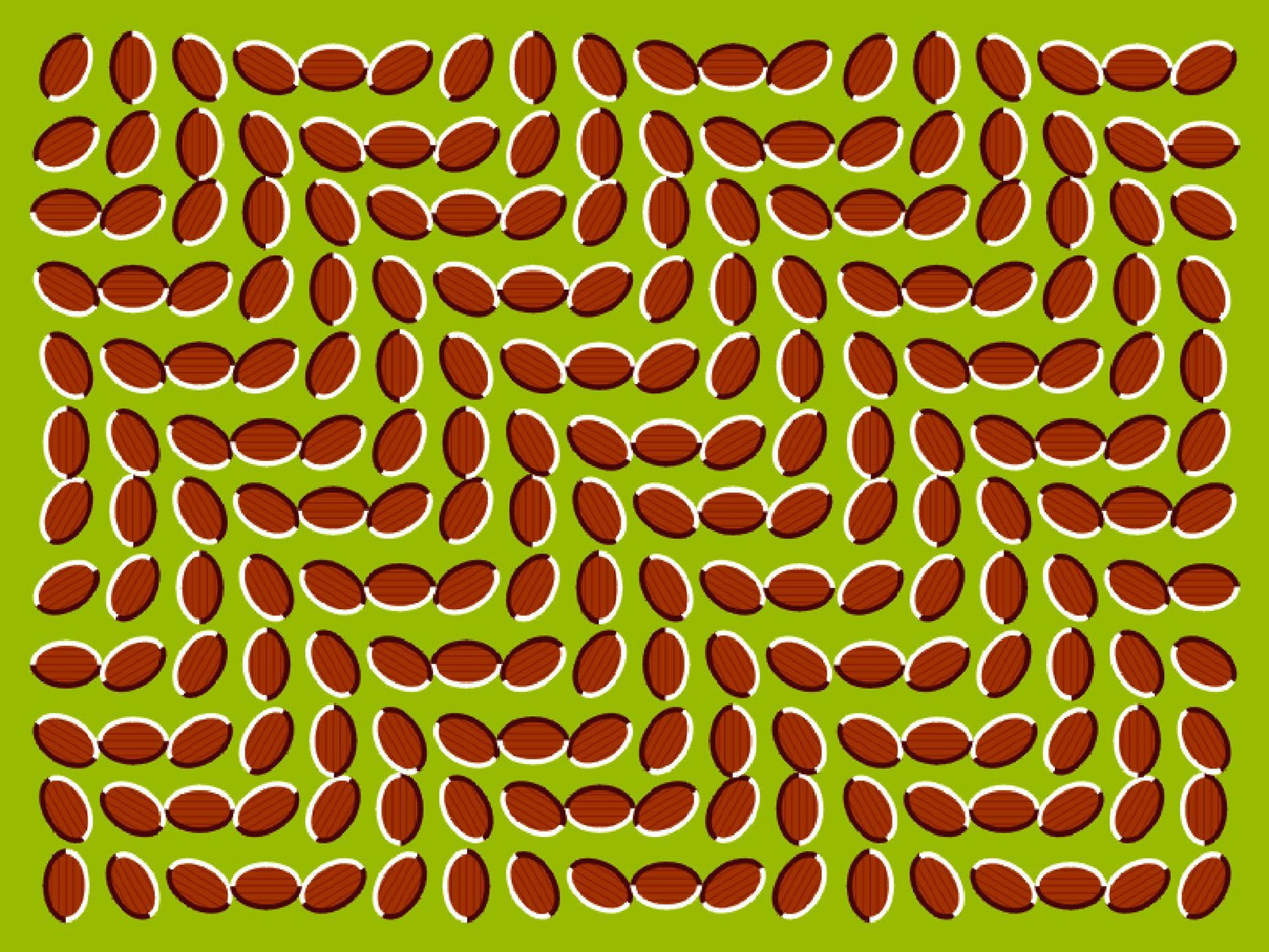 abstract_optical_illusions_desktop_1850x1388_wallpaper.jpg