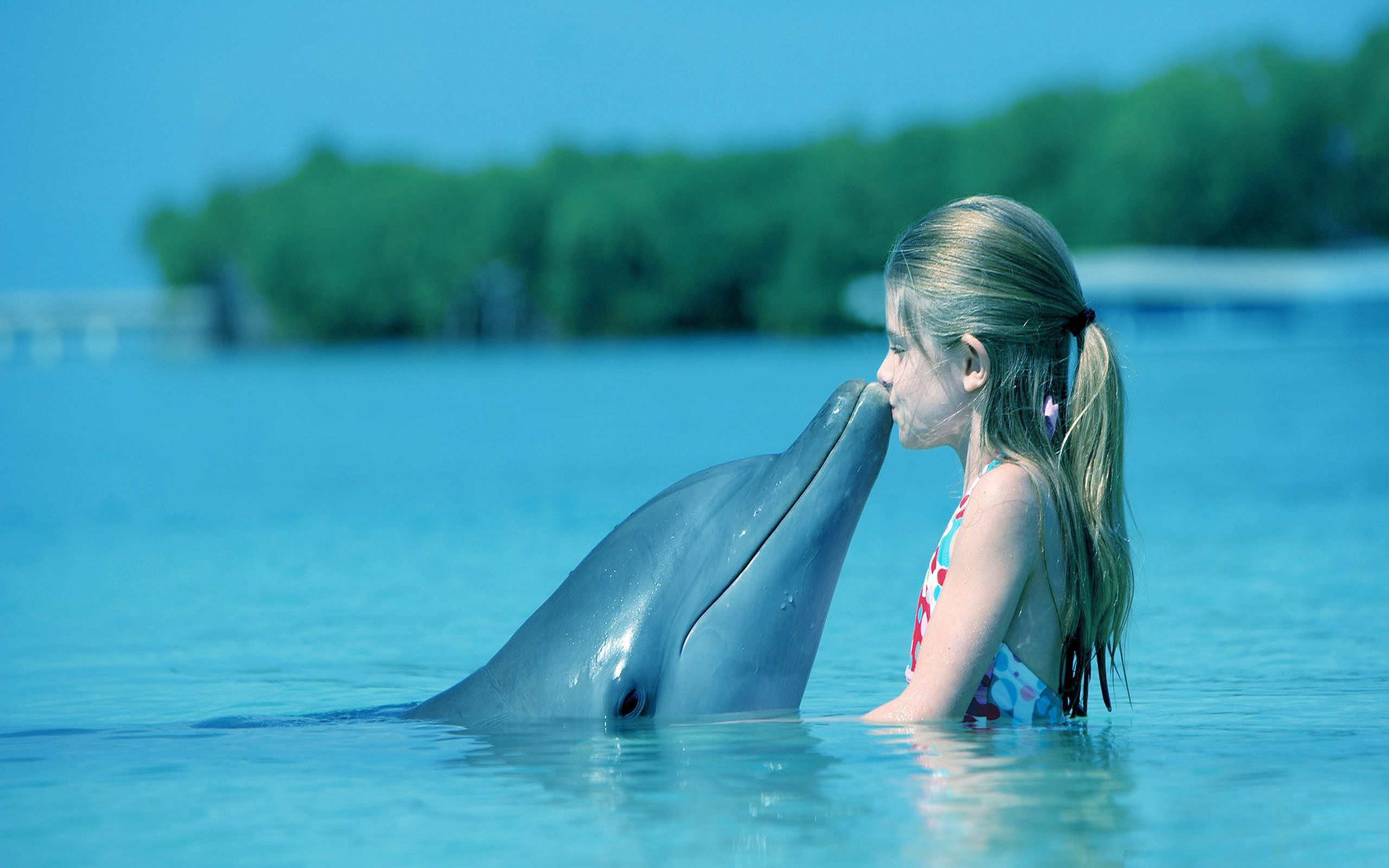 2560x1600 Kid Dolphin Kiss Wallpaper