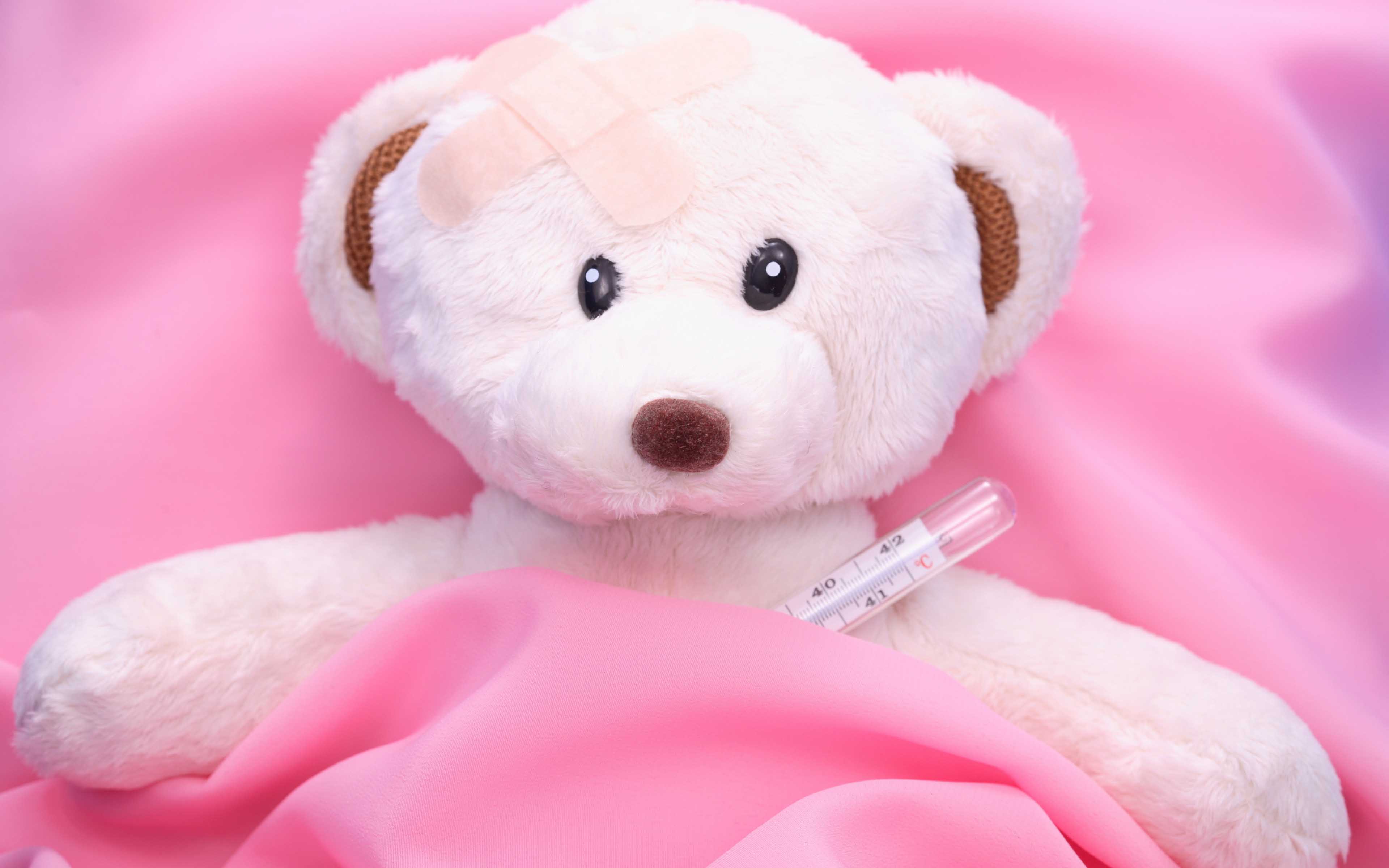 Teddy Bear, Full Hd, Pink, Wallpaper