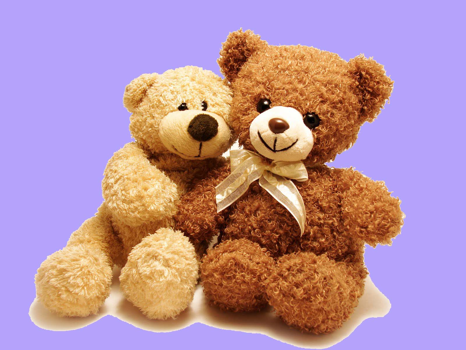 Lovely And Beautiful Teddy Bear Wallpapers ~ Allfreshwallpaper