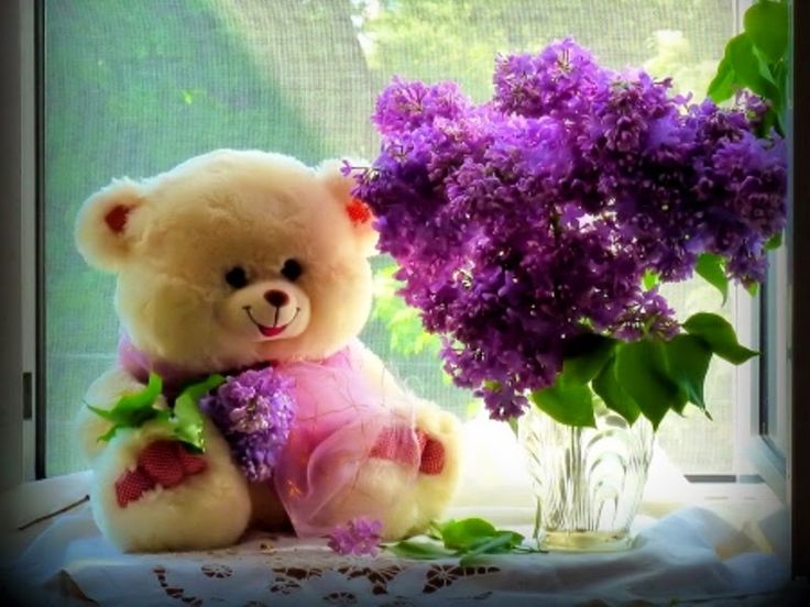 Happy teddy bear day wallpaper pics images free download hd
