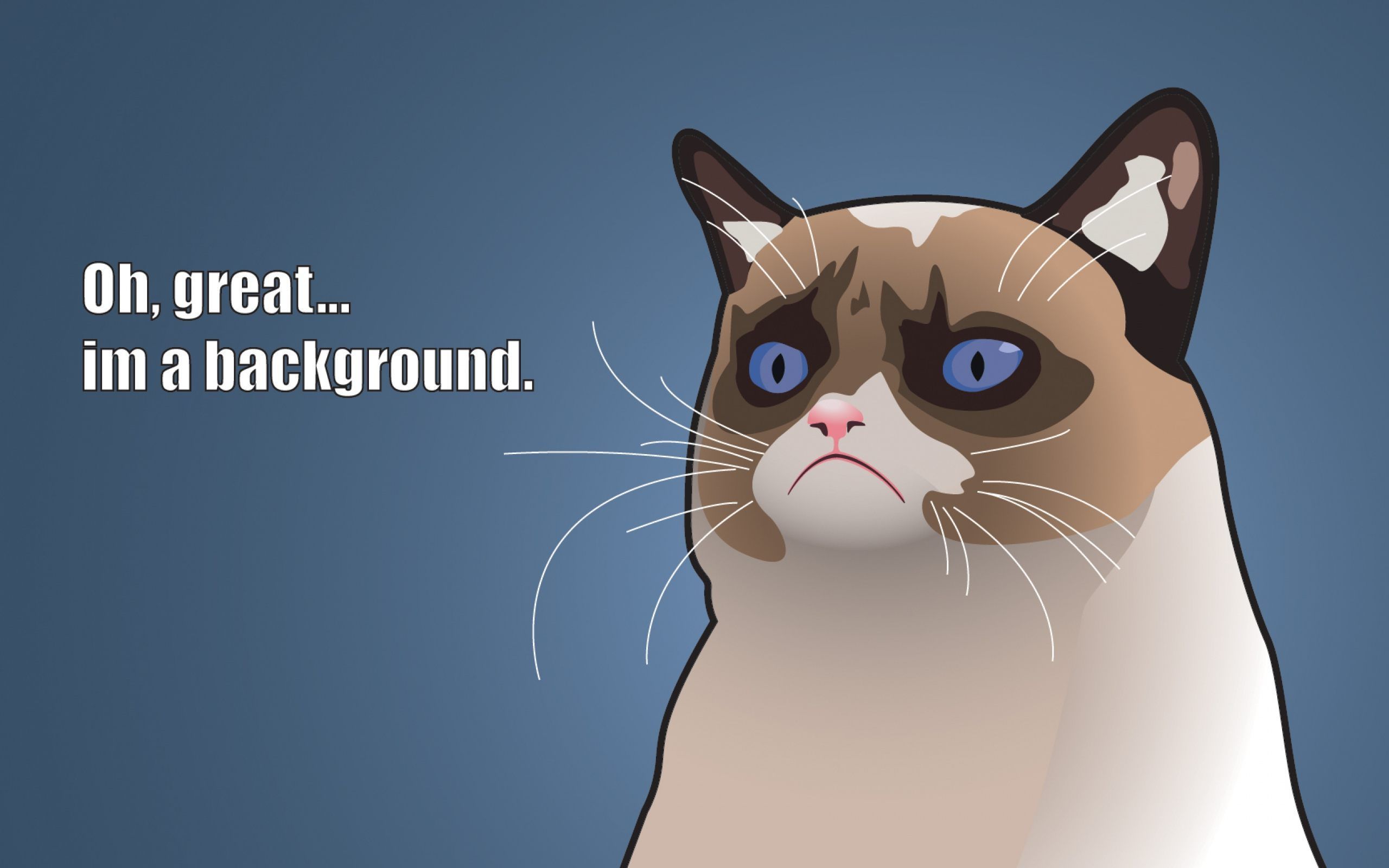 Grumpy Cat Quotes Funny Wallpaper For Desktop and Mobile