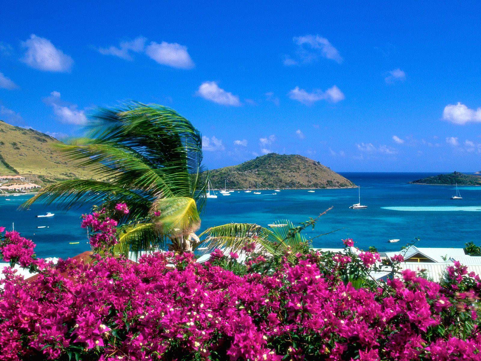 Saint Martin beach free desktop background - free wallpaper image