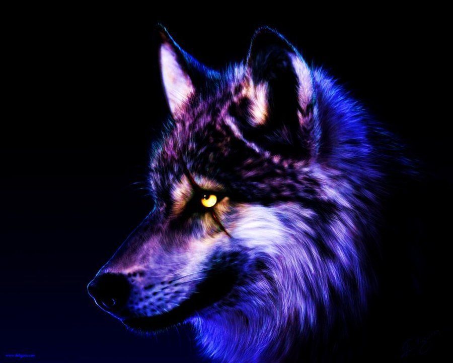Really Cool Wolf Desktop Backgrounds - Invitation Templates