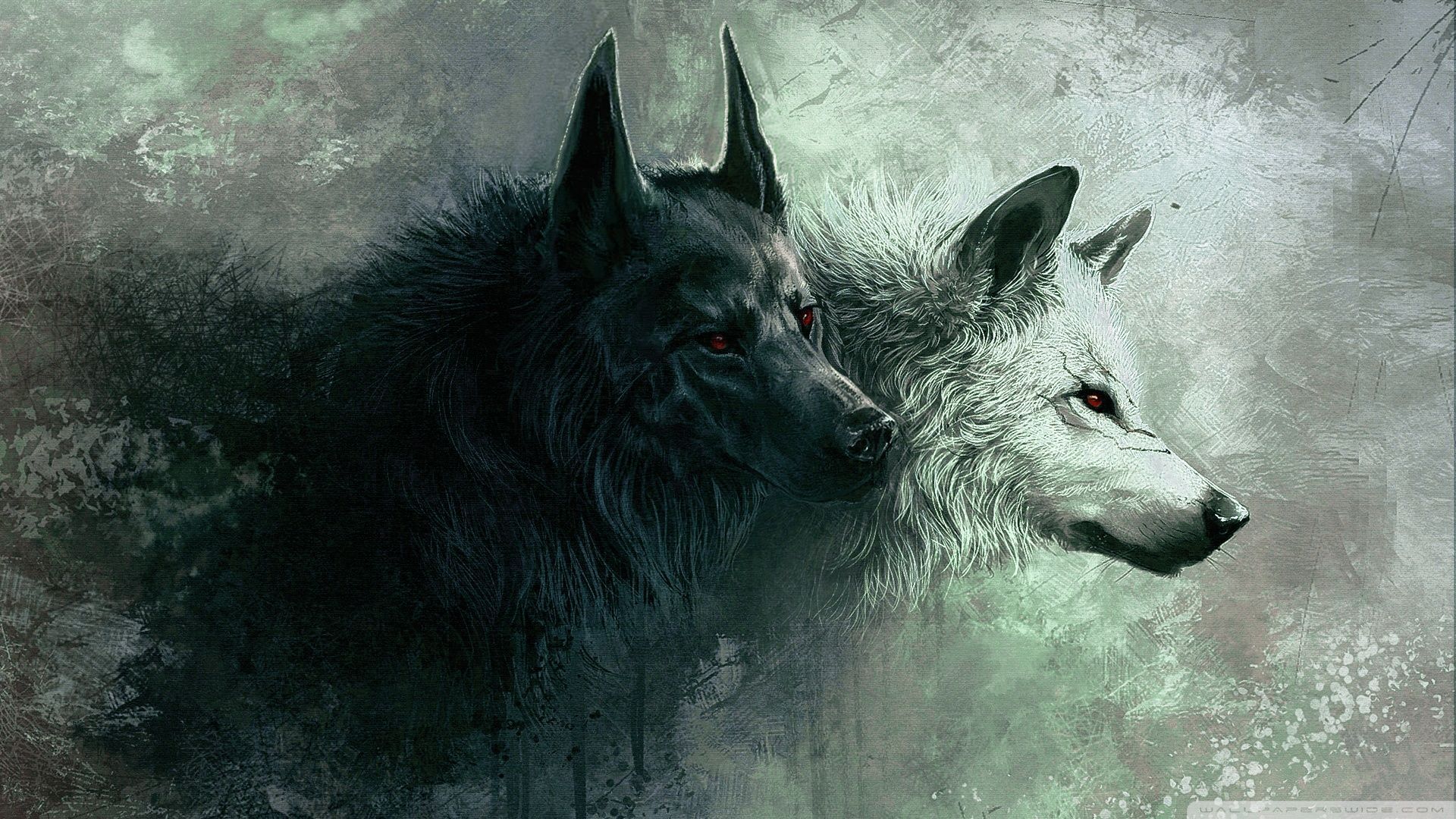 803 Wolf HD Wallpapers | Backgrounds - Wallpaper Abyss - Page 2