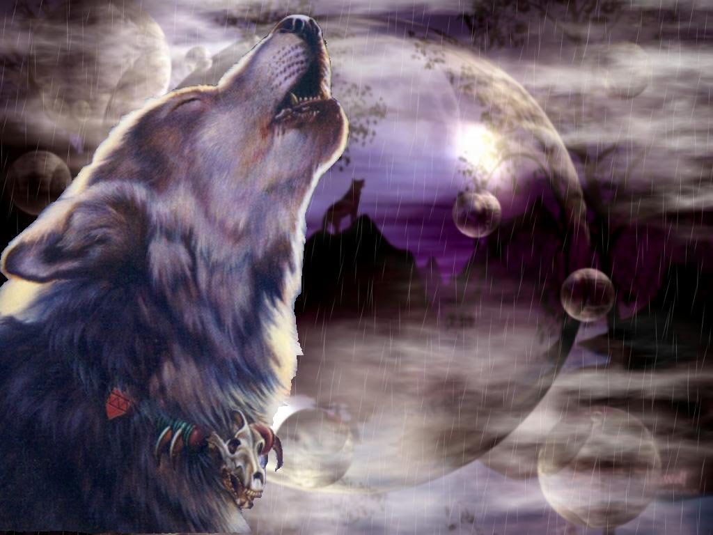 Wolf Pictures Wallpapers wallpaperslink.com