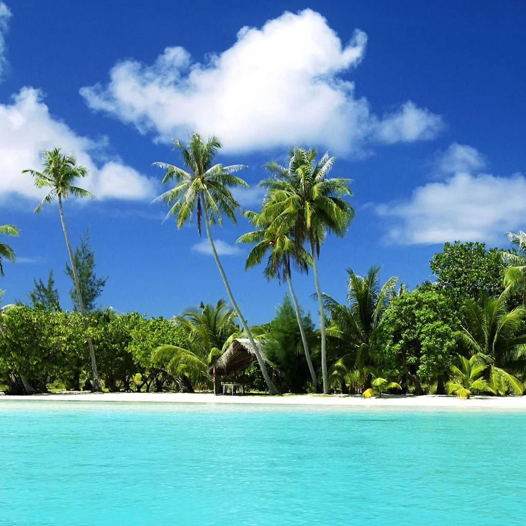 Awesome noon on tropical beach wallpaper - Beach Wallpapers