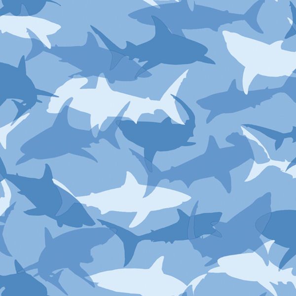 York shark blue paper 2