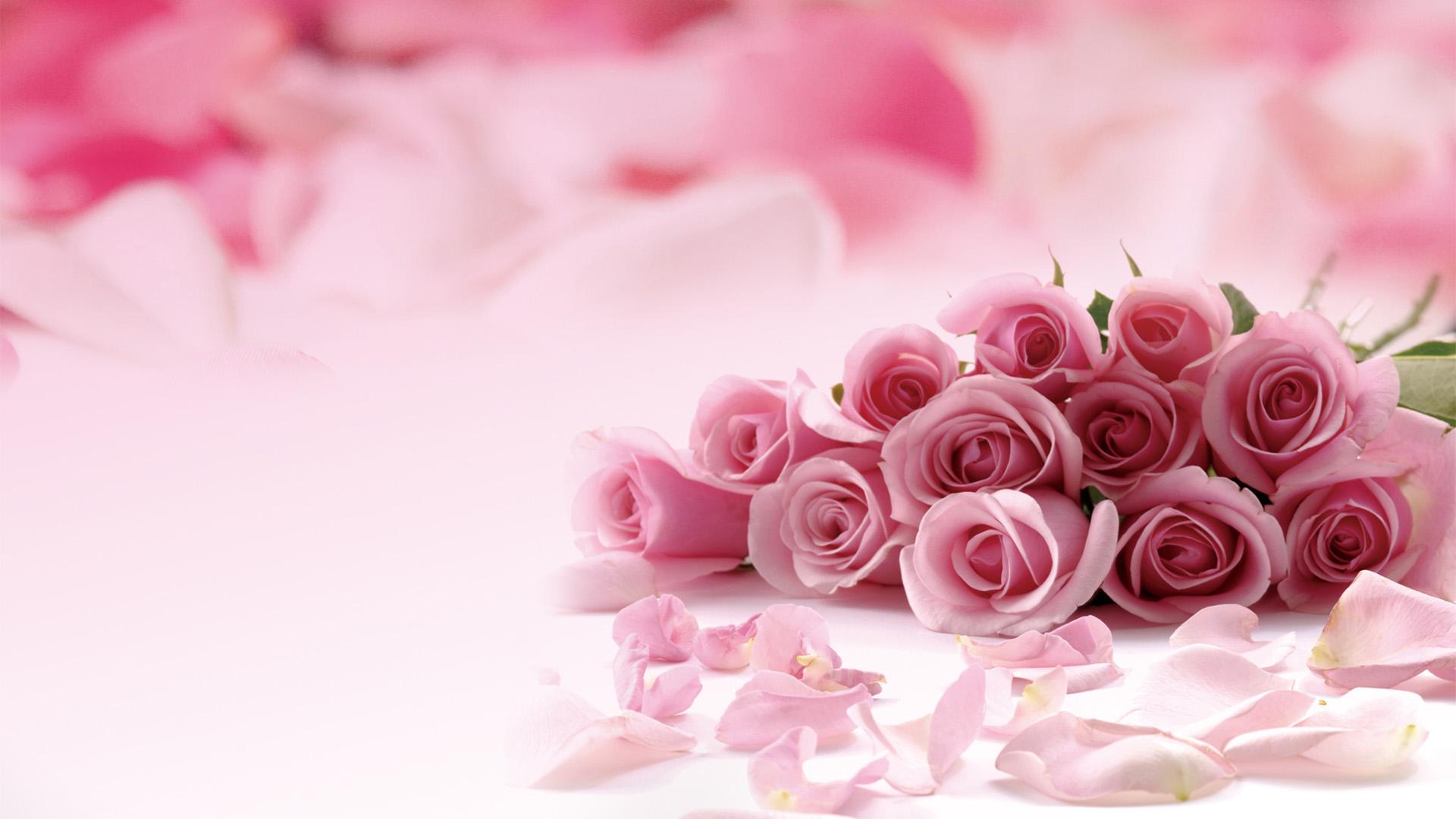 Pink Rose Desktop Wallpapers Group (78+)