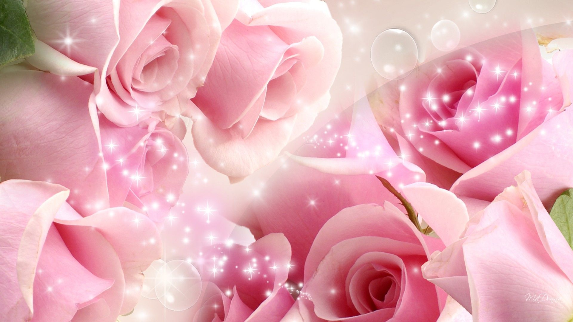 Pink Roses Desktop | Full HD Pictures