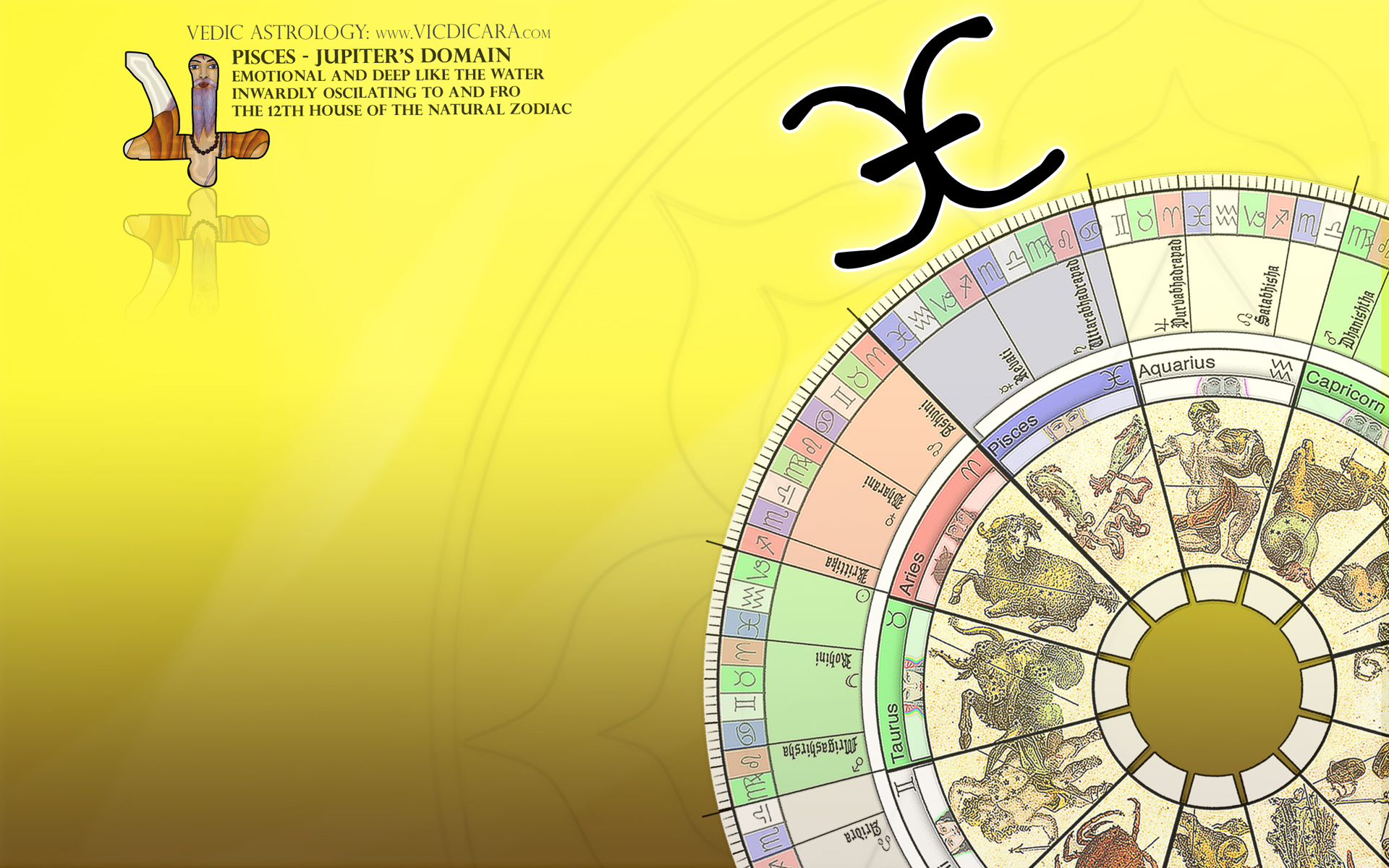Signs of the zodiac on a yellow background wallpapers and images