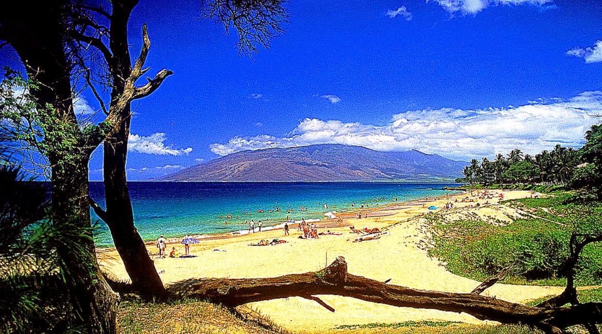 Hawaii Beach Wallpaper Hd Free | Best Free HD Wallpaper